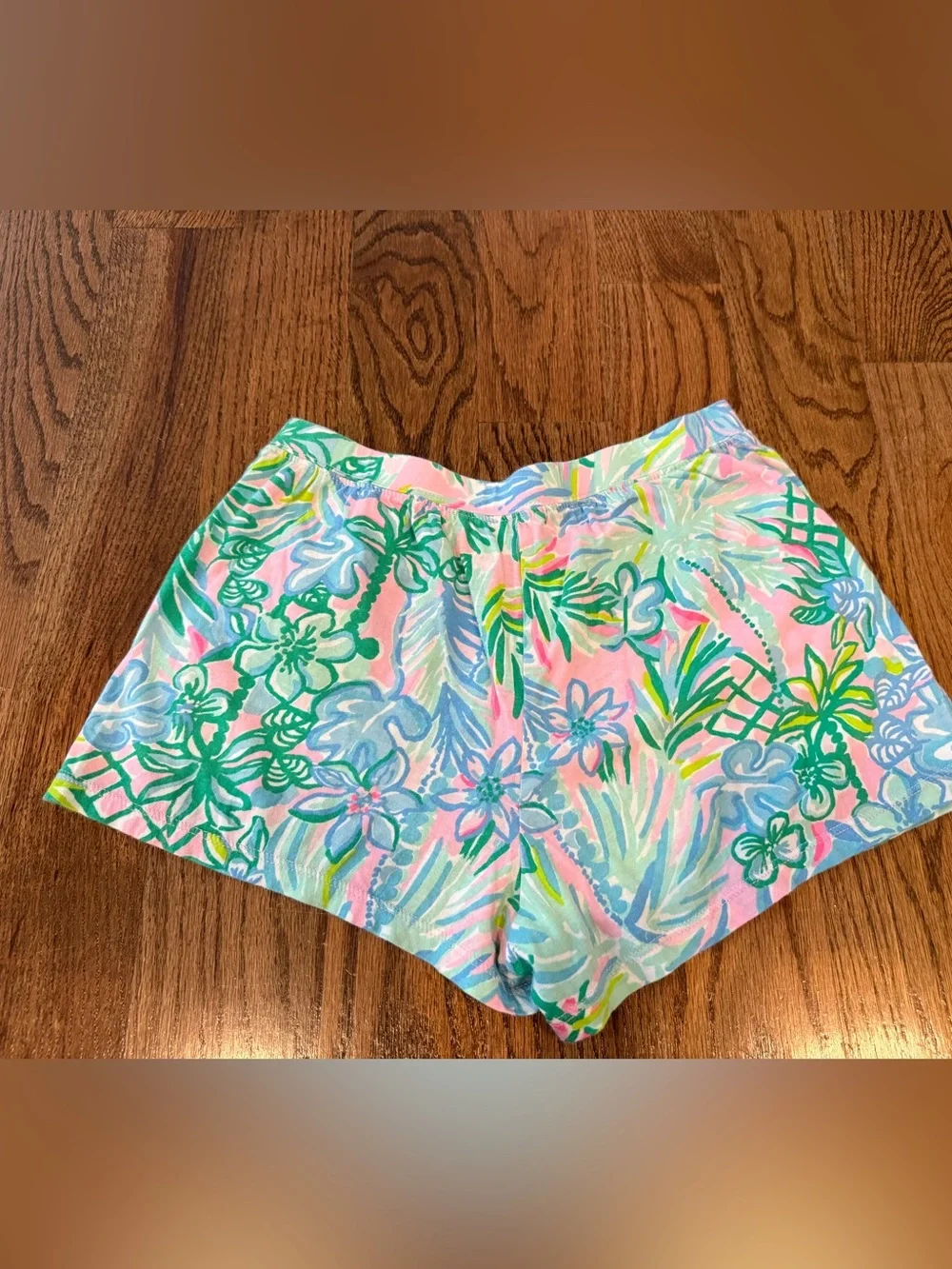 Lilly pulitzer aqua la vista ocean view cotton shorts blue pink summer size L